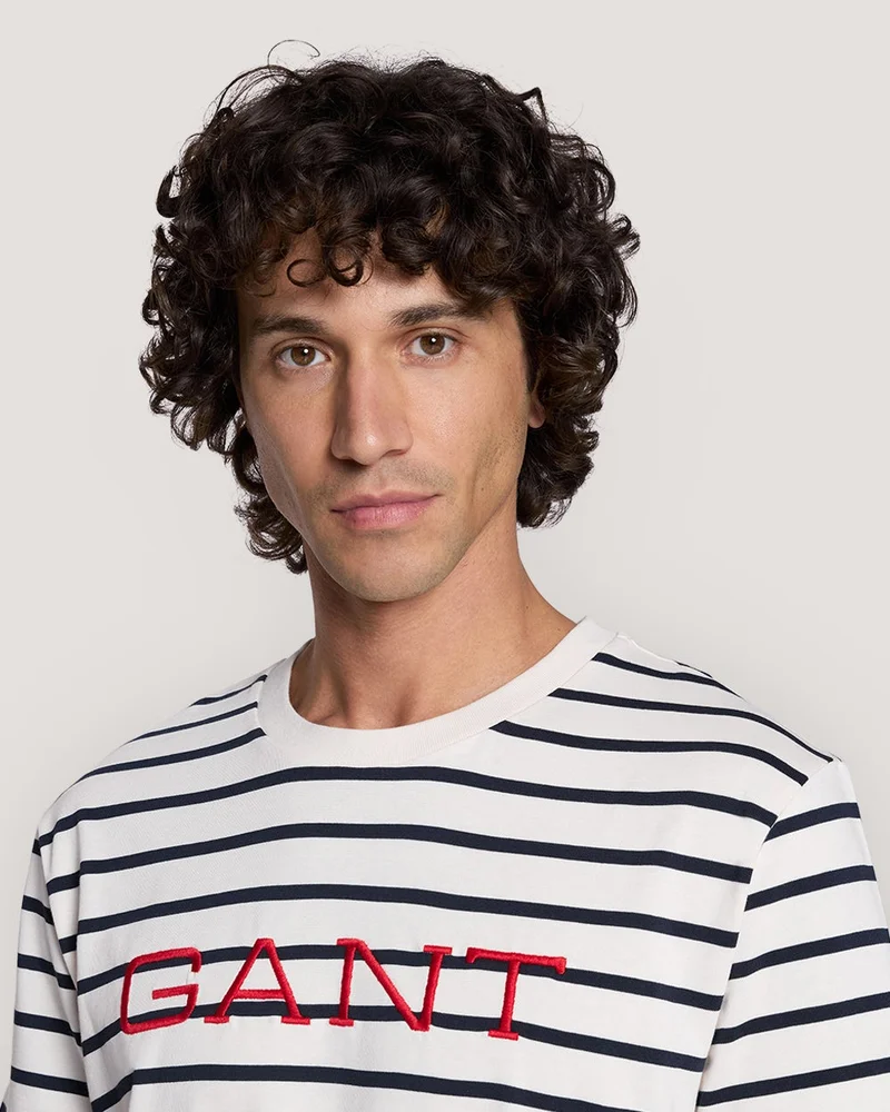 GANT Gant Striped Graphic T-Shirt